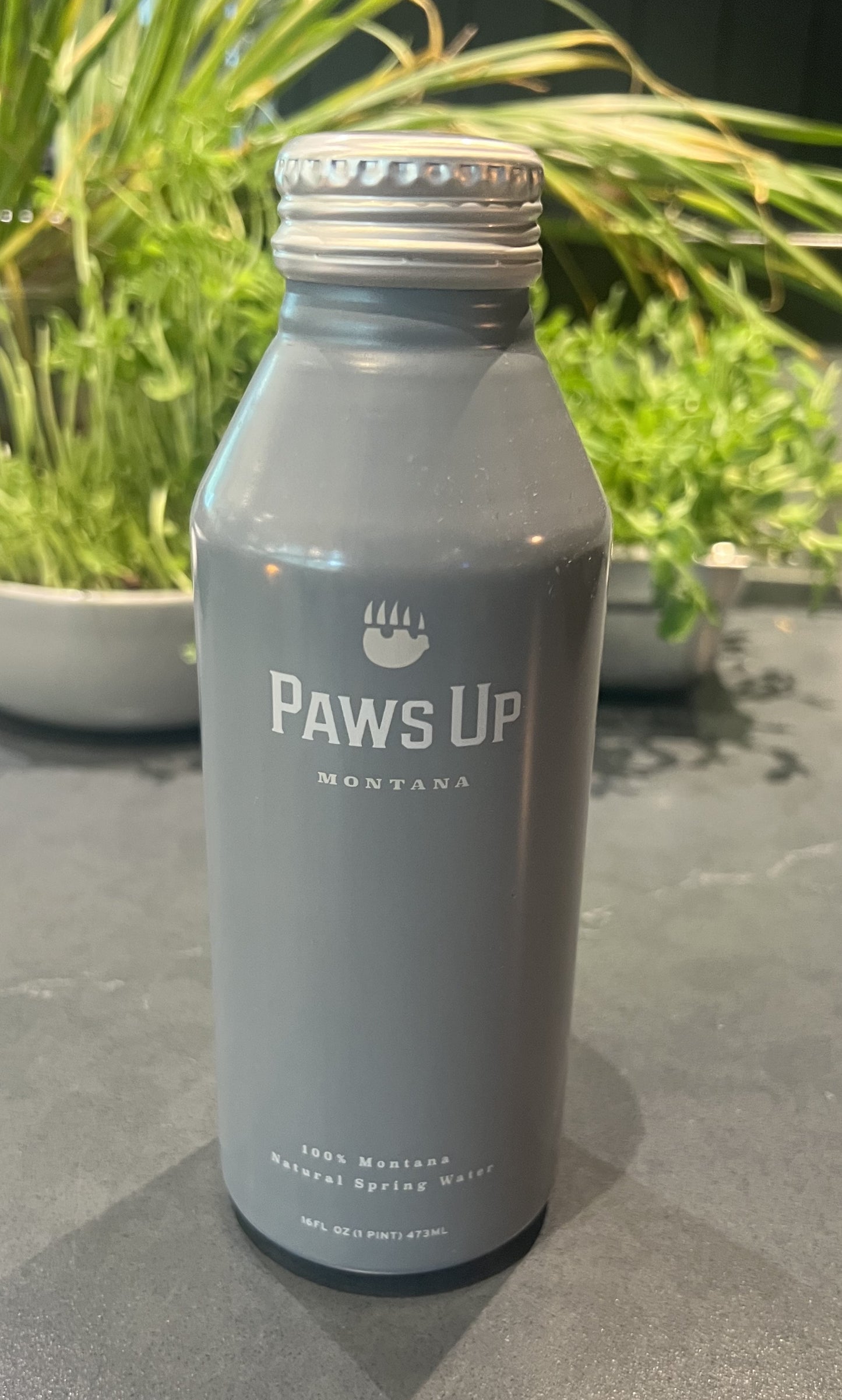 24 Paws Up Silver Springs Water